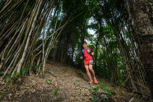 BIB: 
                            <button type="button" onclick="openModal(19395800)" class="btn btn-primary btn-sm float-right btn-popup" data-toggle="modal" data-target=".modal-high-quality">
                        <i class="fas fa-shopping-cart"></i> Add to Cart
                    </button>
                                            <button type="button" onclick="isThisMe(19395800, true)" class="btn btn-success btn-sm float-right btn-popup btn-isme hidden" data-toggle="tooltip" data-placement="bottom" title="นี่คือรูปของคุณใช่ไหม คลิกที่นี่เพื่อเอาเข้าอัลบั้ม">
                        <i class="fas fa-plus"></i> Add to album
                    </button>
                    <button type="button" onclick="isThisMe(19395800, false)" class="btn btn-warning btn-sm float-right btn-popup btn-isnotme hidden">
                        <i class="fas fa-ban"></i> Remove from album
                    </button>